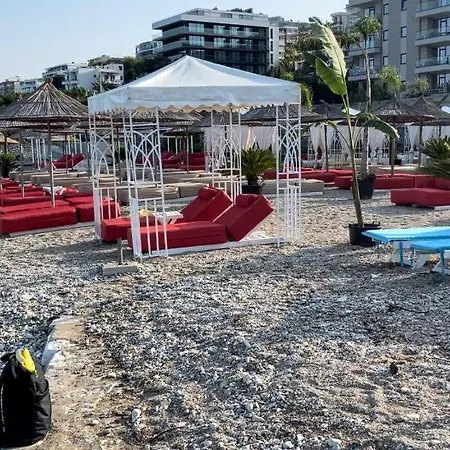 Enti - Mango * Sarandë