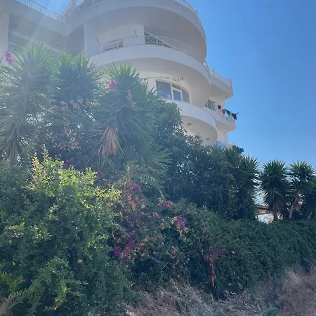 Enti - Mango Sarandë