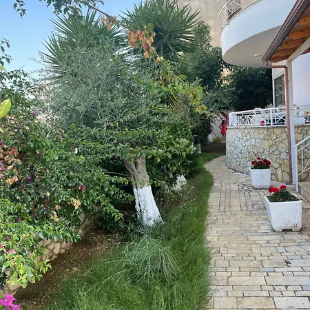 Daire Enti - Mango Saranda