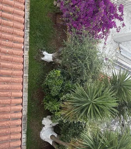 公寓 Enti - Mango *